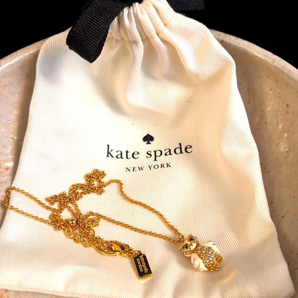 🦉KATE SPADE ♠️ Bright Owl pendant necklace